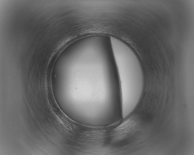 X0000054470626200507291048