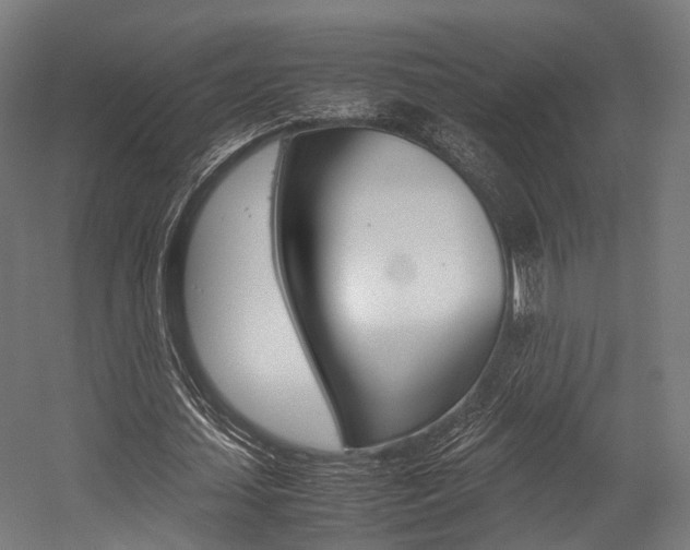 X0000054470627200507291048
