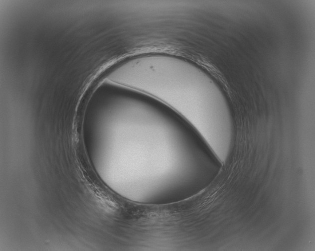 X0000054470628200507291048