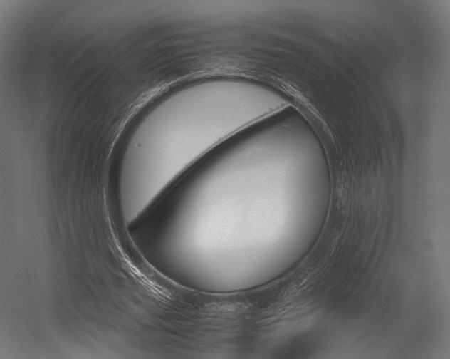 X0000054470629200507291048