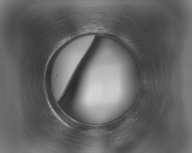 X0000054470630200507291048