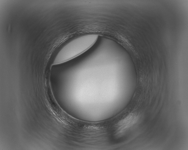 X0000054470635200507291048