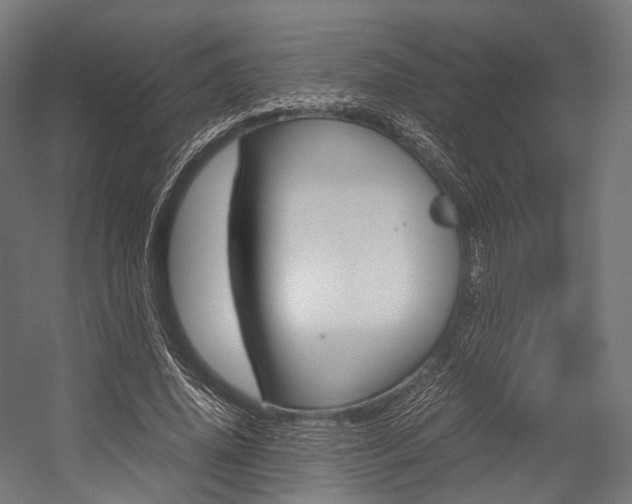 X0000054470636200507291048