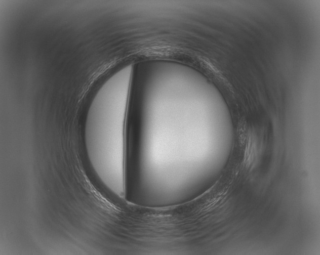 X0000054470637200507291048