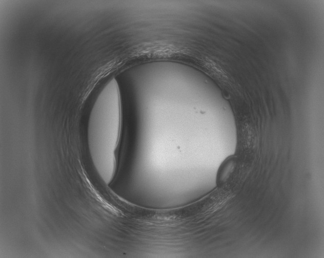 X0000054470638200507291048