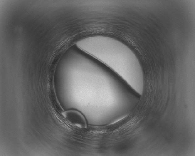 X0000054470639200507291048