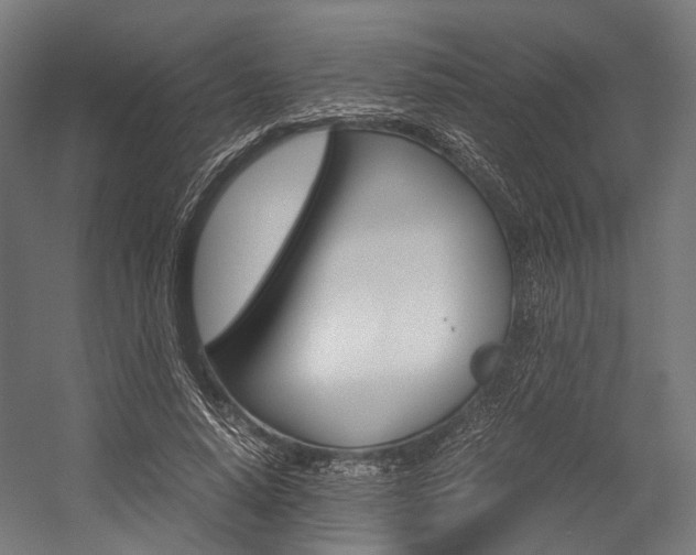 X0000054470640200507291048