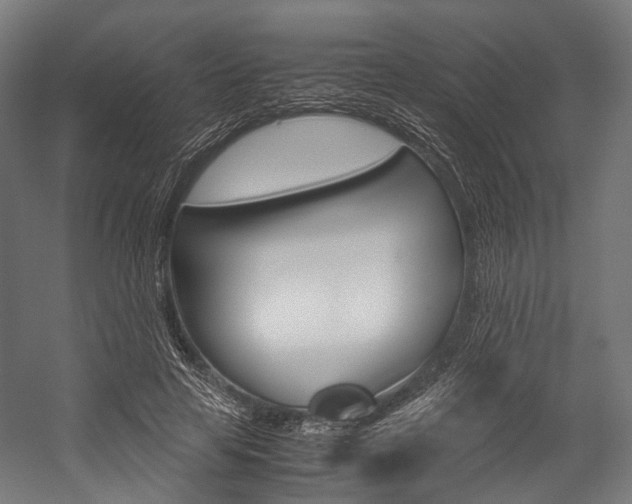 X0000054470641200507291048