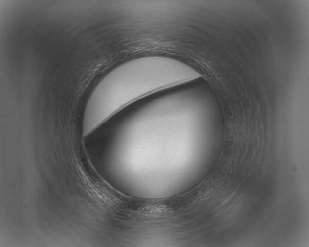 X0000054470642200507291048