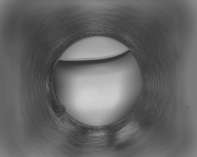 X0000054470643200507291048
