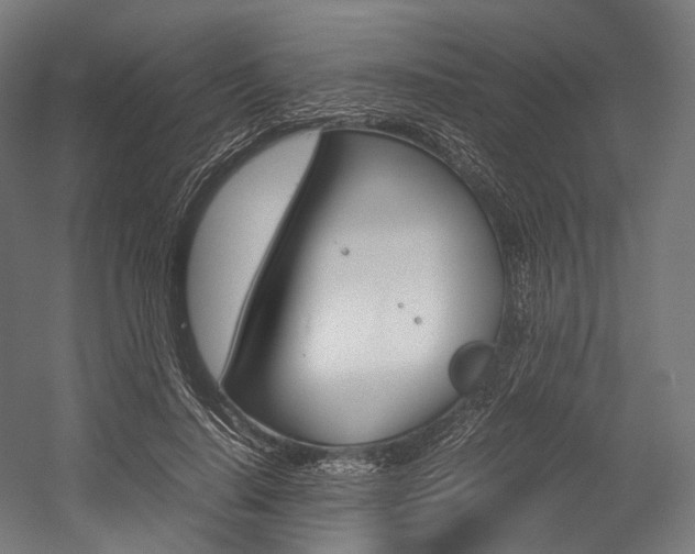 X0000054470644200507291048
