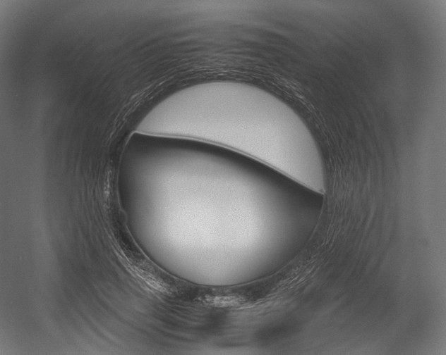 X0000054470645200507291048