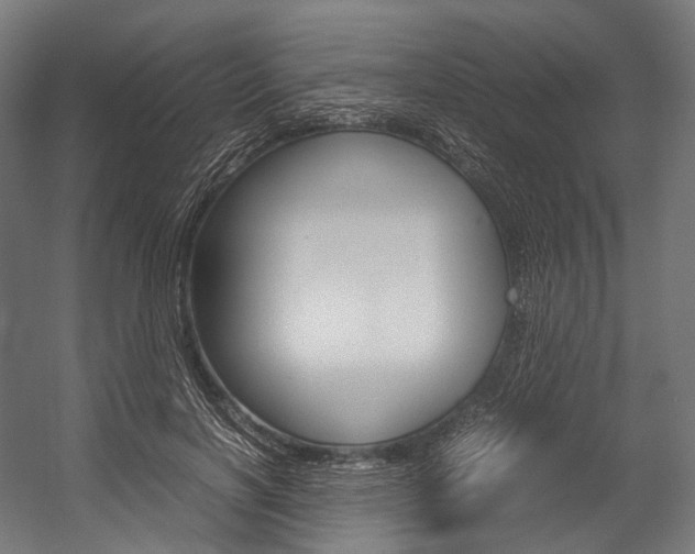 X0000054470646200507291048