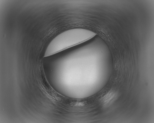 X0000054470647200507291048