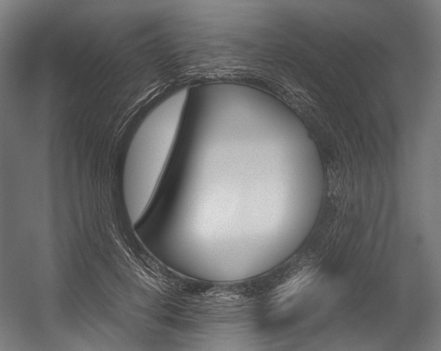X0000054470648200507291048