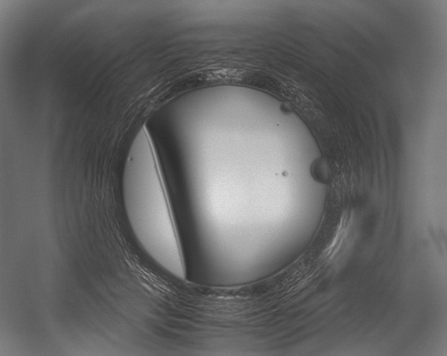 X0000054470649200507291048