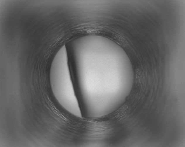 X0000054470650200507291048
