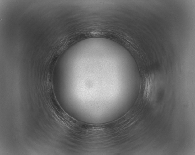 X0000054470651200507291048