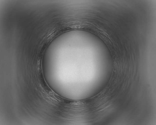 X0000054470652200507291048