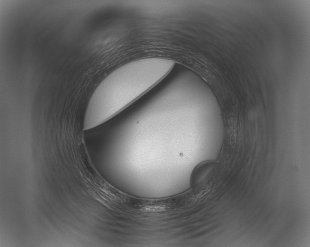 X0000054470653200507291049