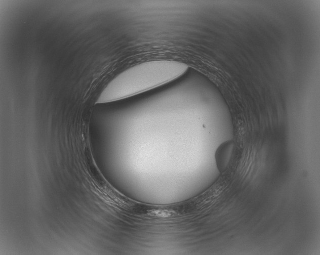 X0000054470654200507291049