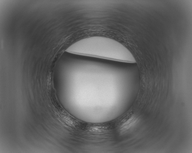 X0000054470657200507291049
