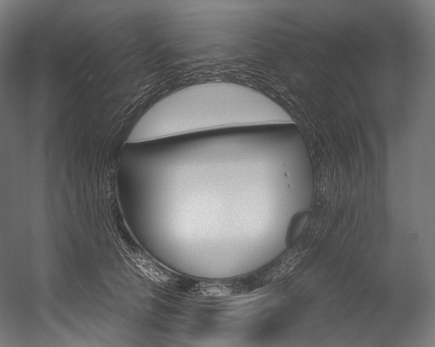 X0000054470658200507291049