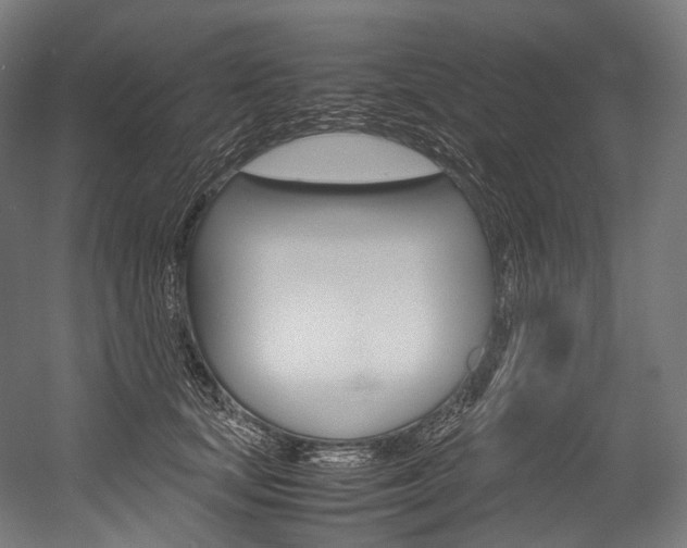 X0000054470659200507291049