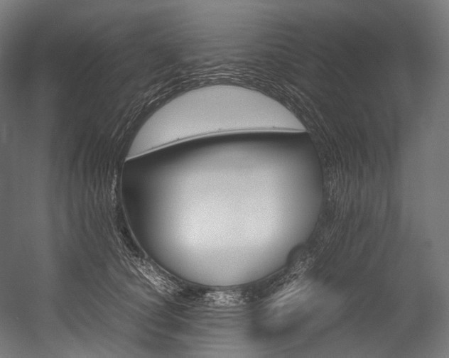 X0000054470660200507291049
