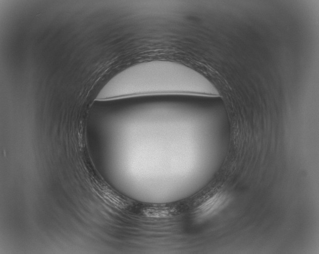 X0000054470661200507291049