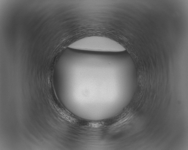 X0000054470662200507291049