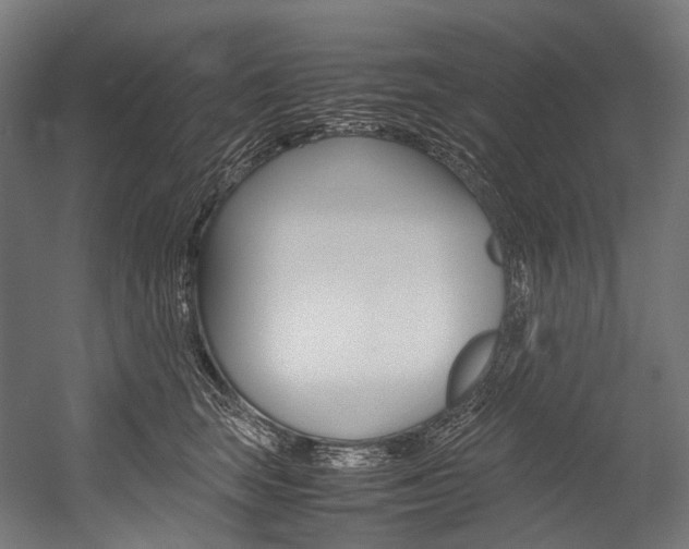 X0000054470663200507291049