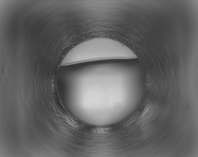 X0000054470664200507291049