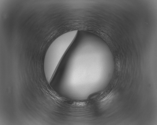 X0000054470665200507291049