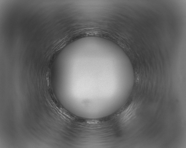 X0000054470666200507291049