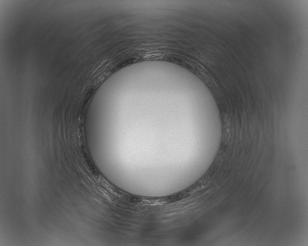 X0000054470667200507291049