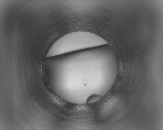 X0000054470668200507291049