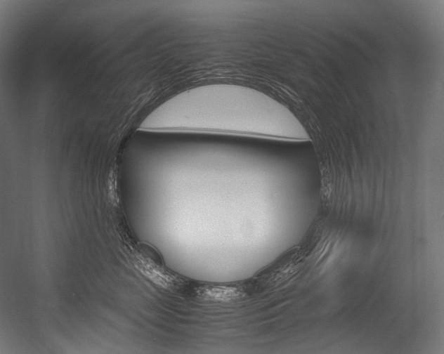 X0000054470669200507291049