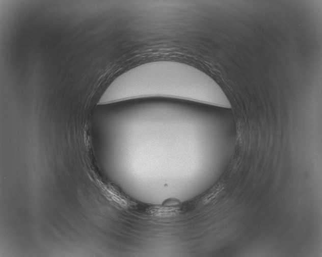 X0000054470670200507291049