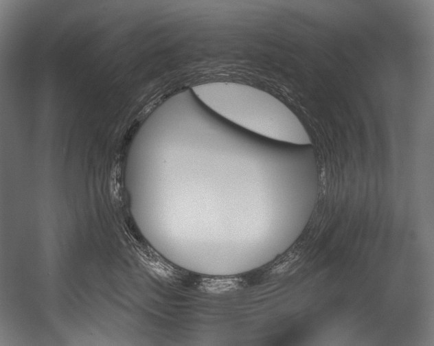 X0000054470671200507291049
