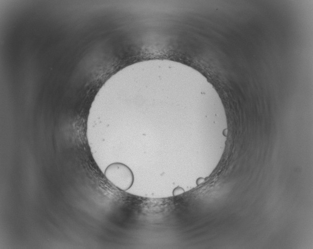 X0000054470672200507291049