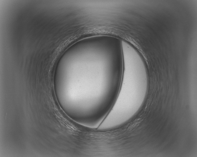 X0000054470673200507291048