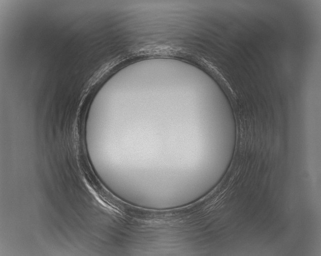 X0000054470674200507291048