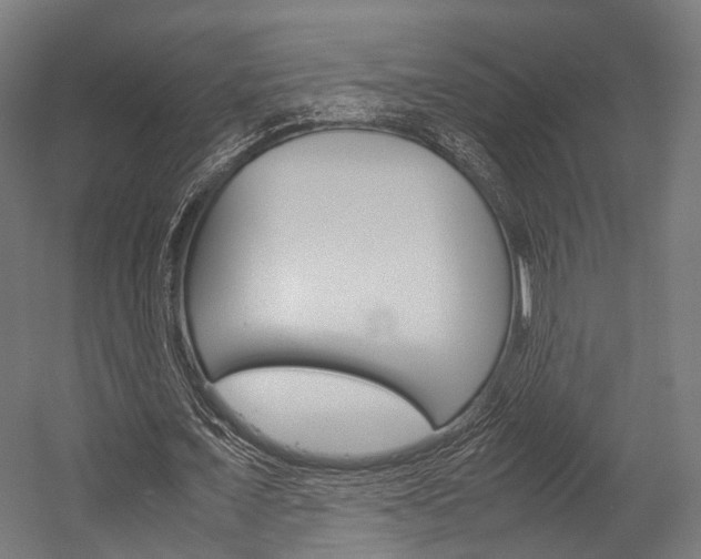 X0000054470675200507291048