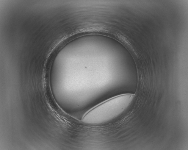 X0000054470676200507291048