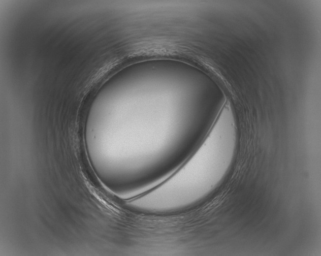 X0000054470677200507291048