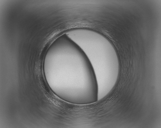X0000054470679200507291048