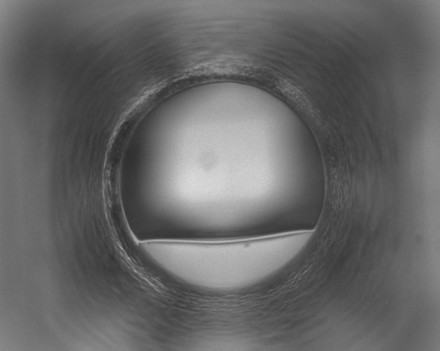 X0000054470680200507291048