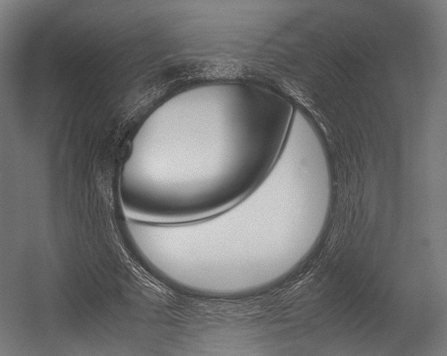 X0000054470681200507291048
