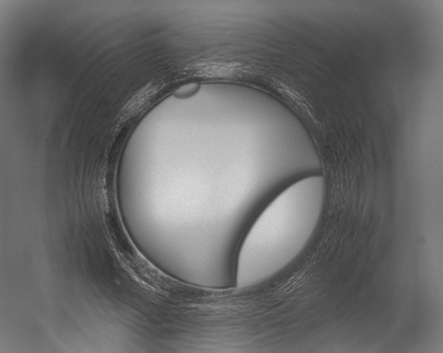 X0000054470682200507291048